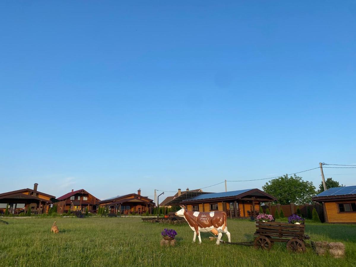 Хомене Villa Rzhyshchiv Екстериор снимка